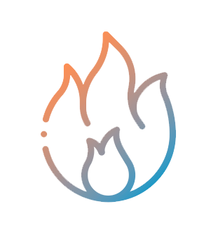 Revisión de Gas Obligatoria